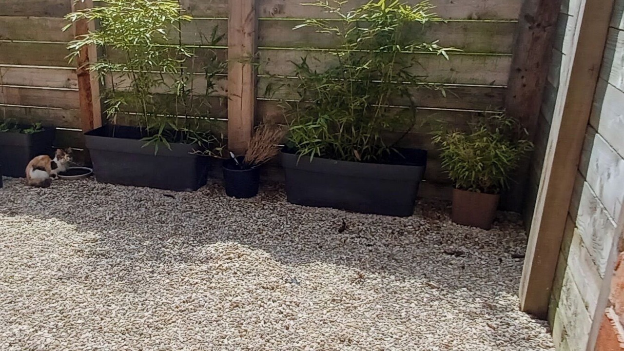 Photo of Outdoor in Wittes