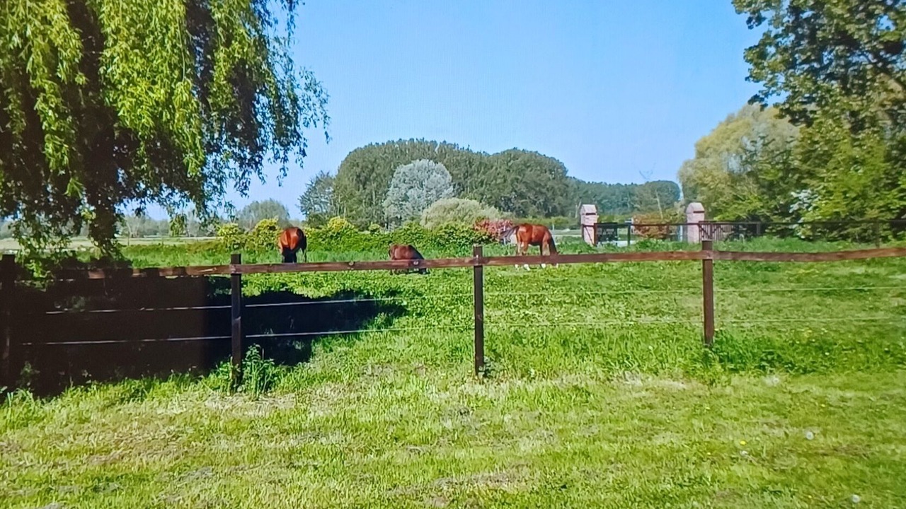 Photo of Others in Wittes