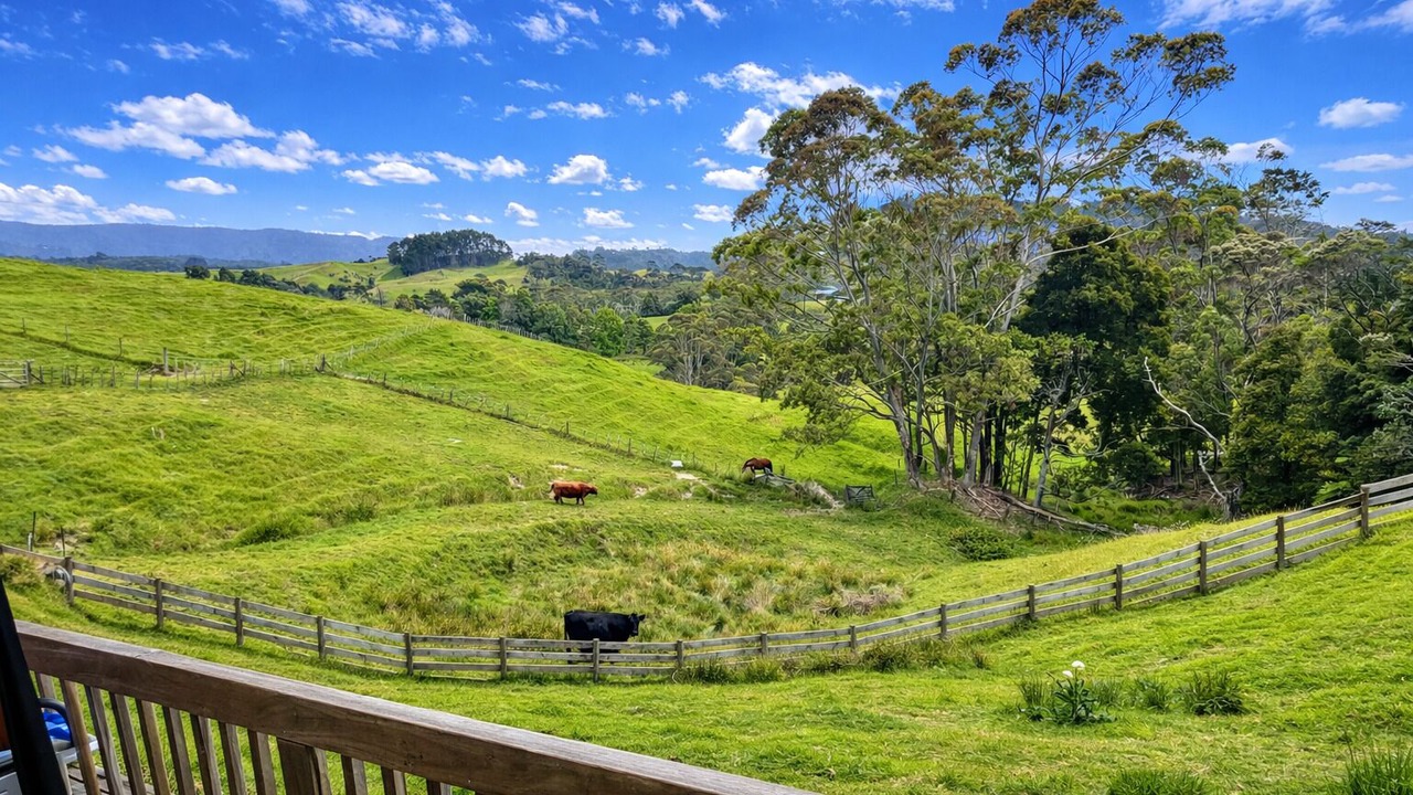 Photo of Outdoor in Waiatarua