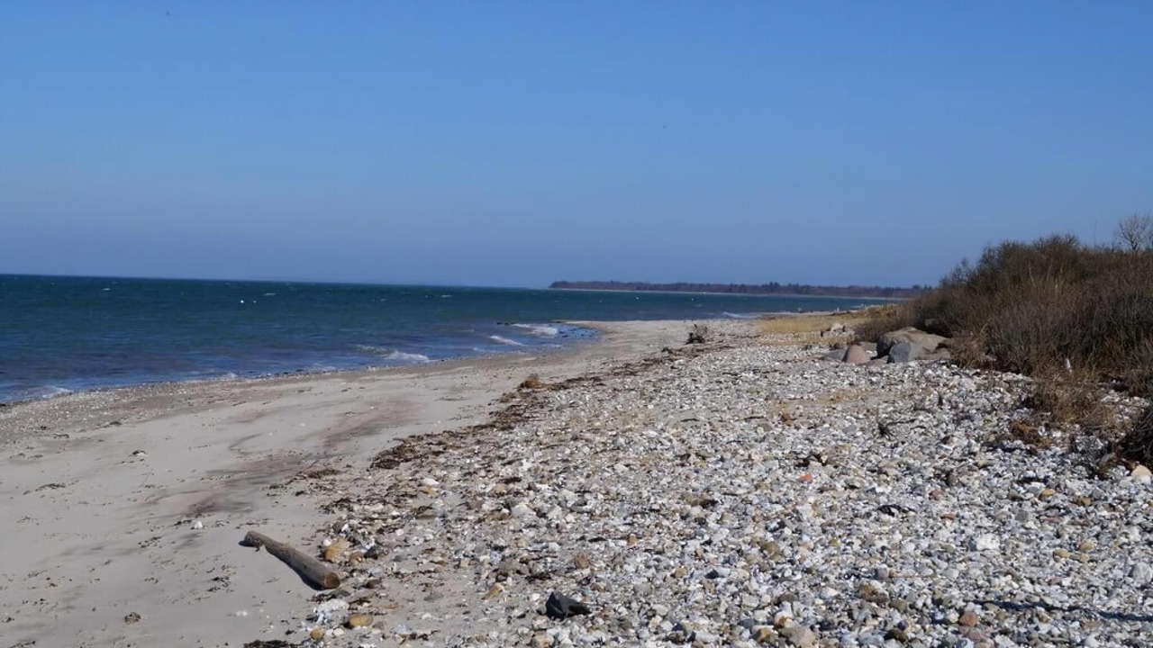 Photo of Others in Skastrup Strand