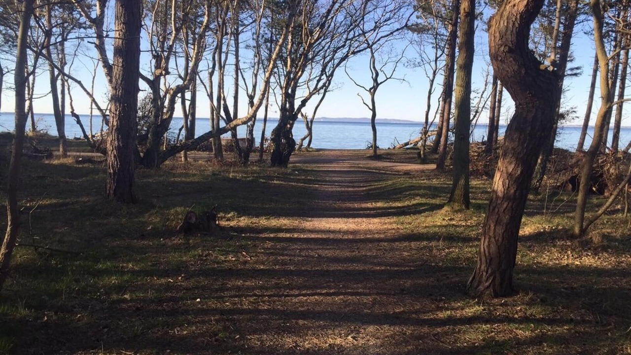 Photo of Others in Hornbaek