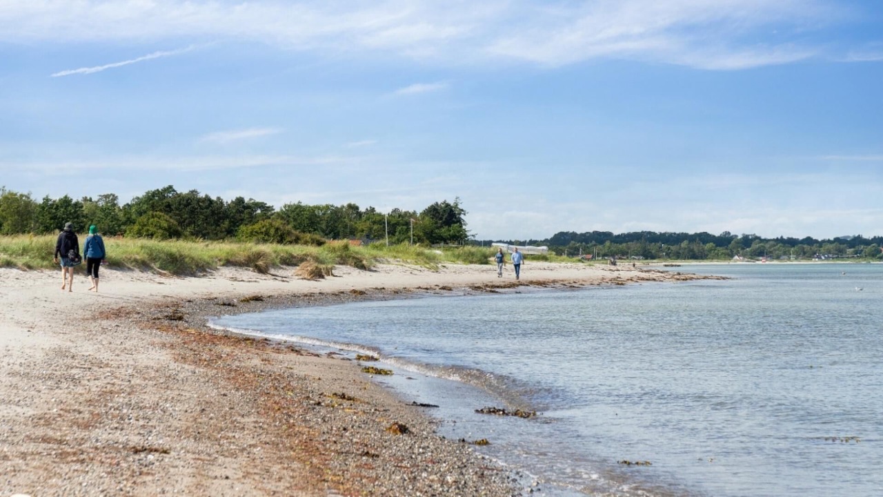 Photo of Others in Saksild Strand