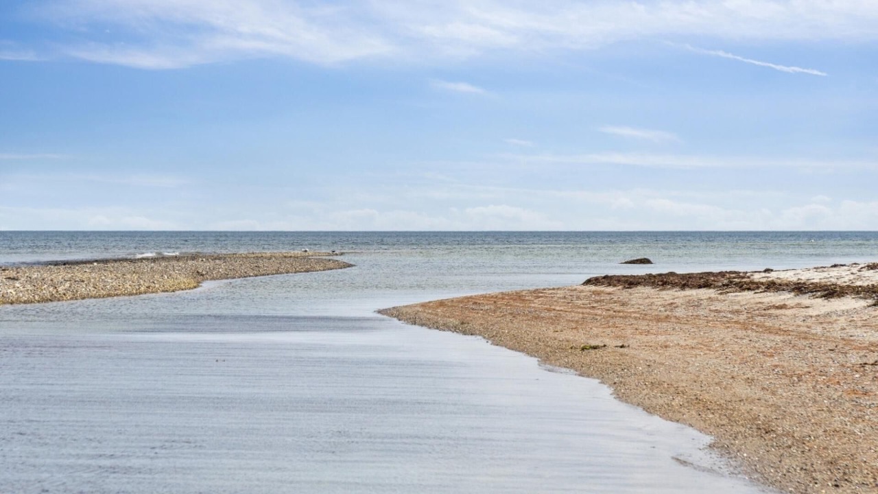 Photo of Others in Saksild Strand