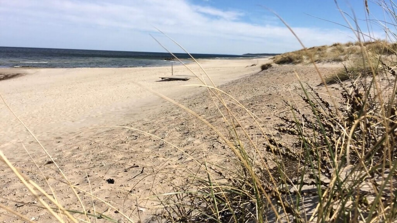 Photo of Others in Frederiksvaerk
