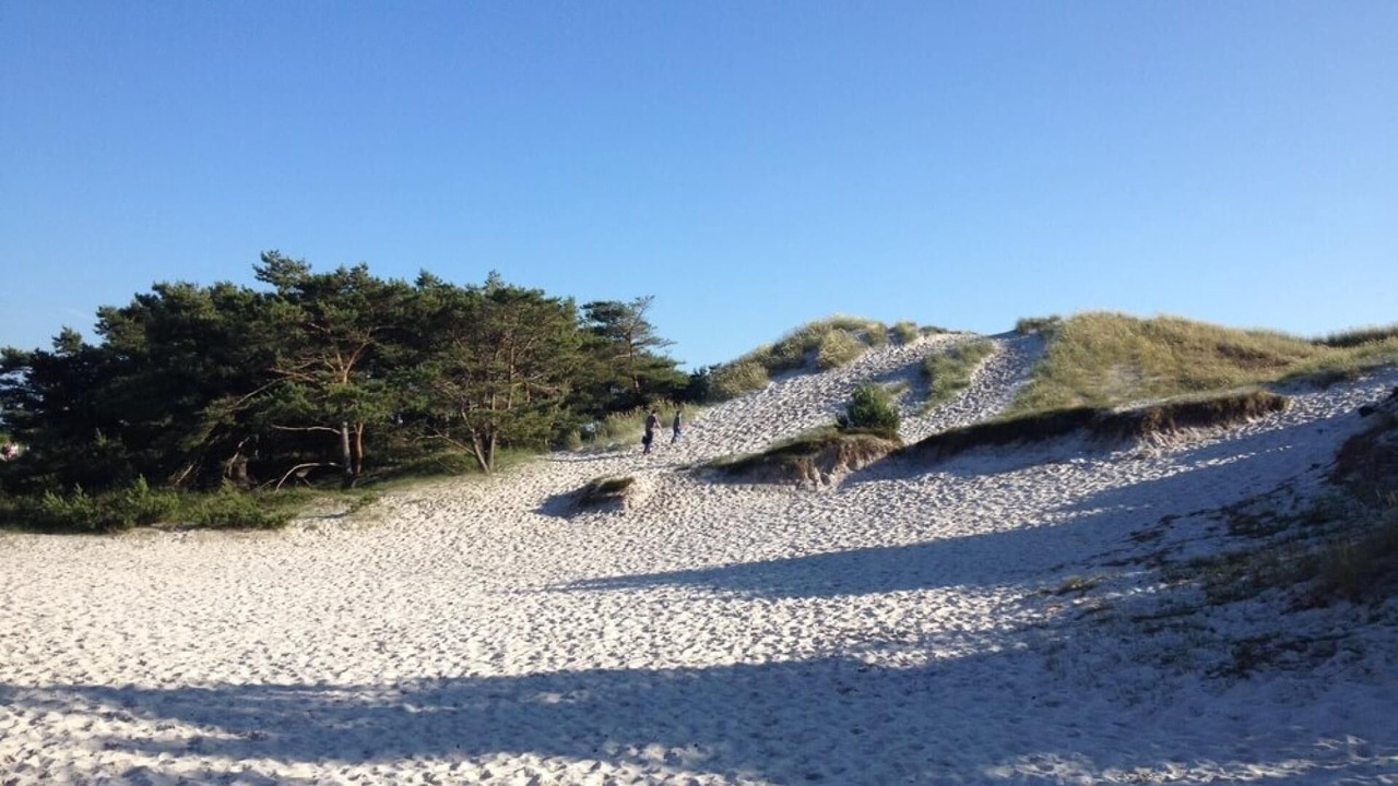 Photo of Others in Bedegaard