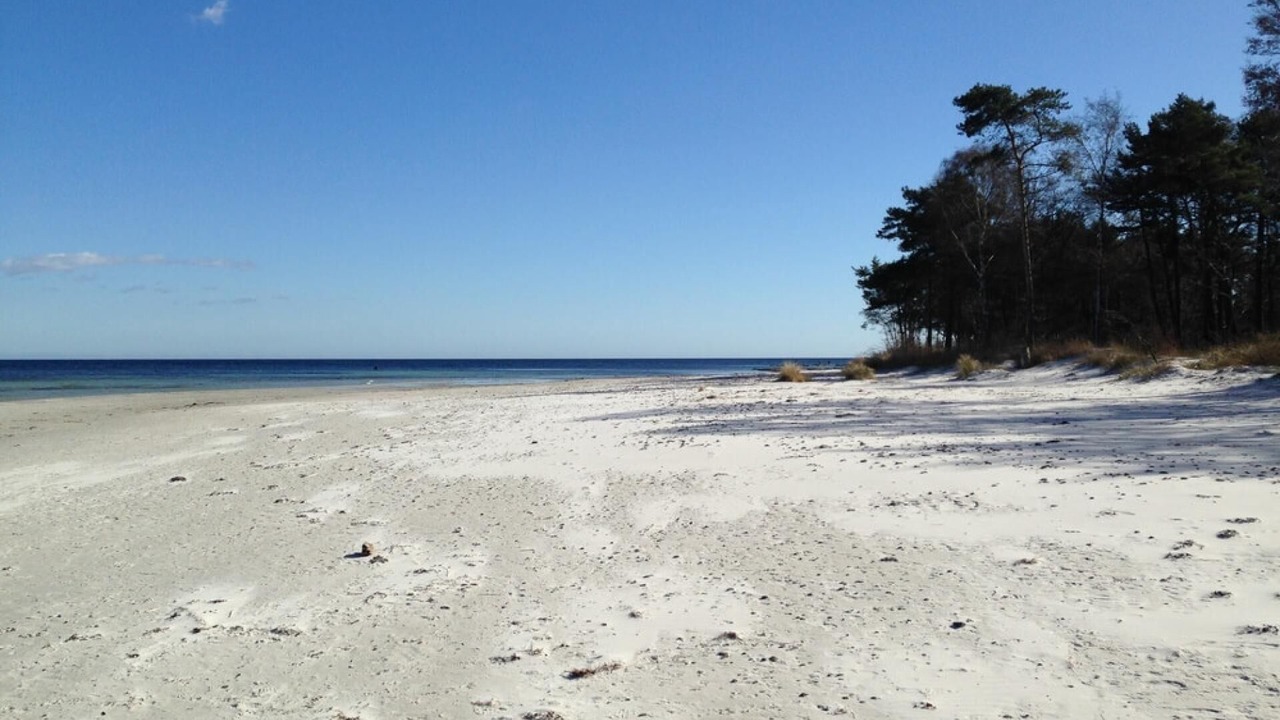 Photo of Others in Bedegaard