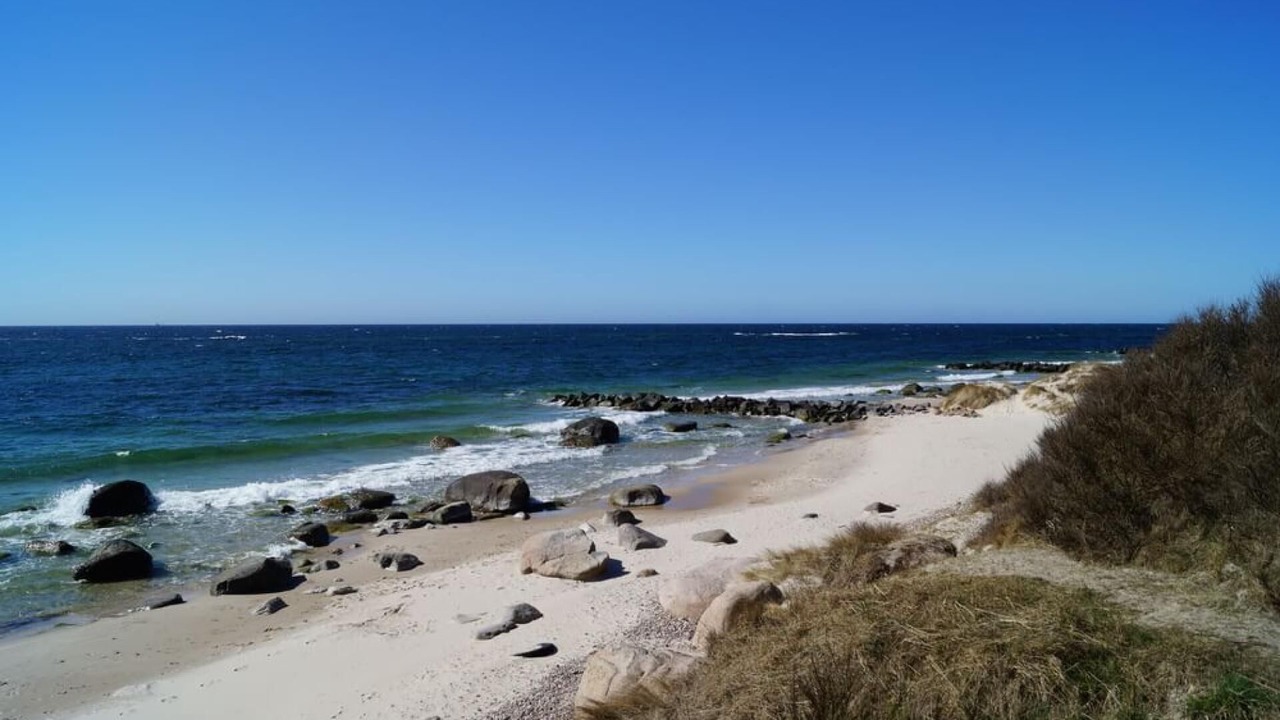 Photo of Others in Bedegaard