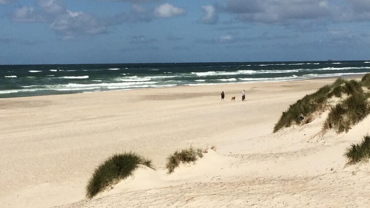 Photo of Others in Henne Strand