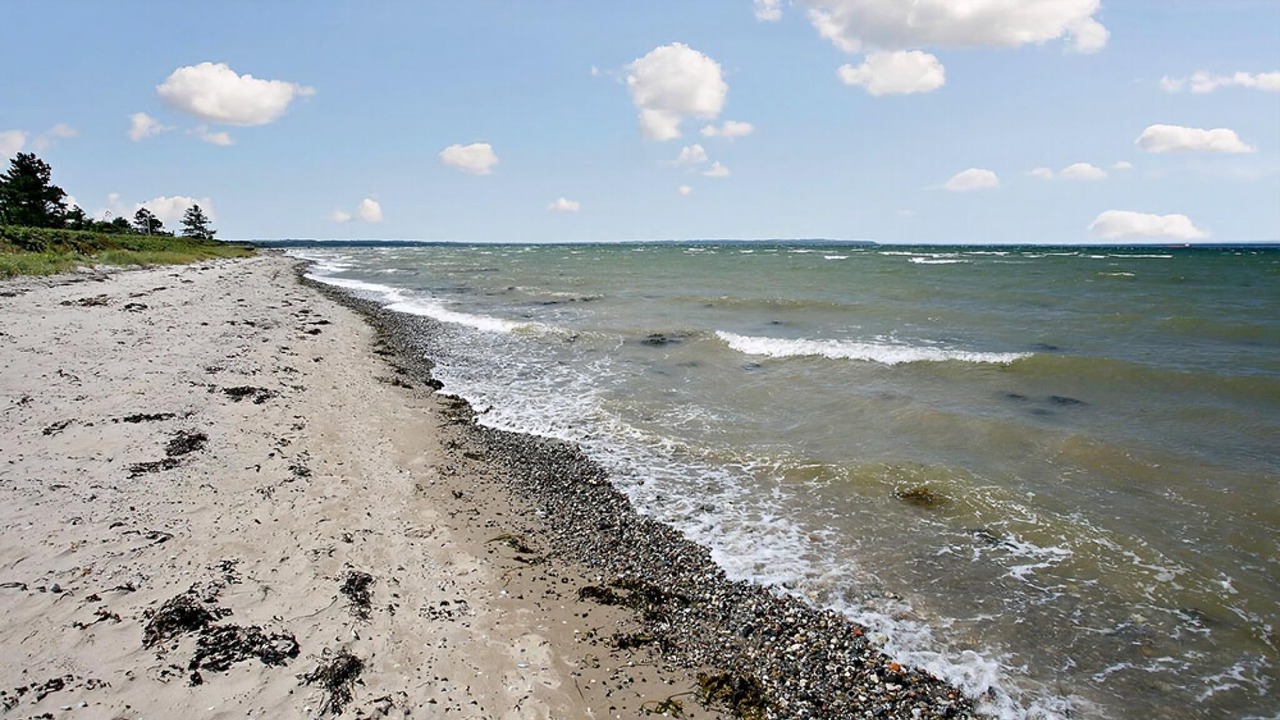 Photo of Others in Skastrup Strand