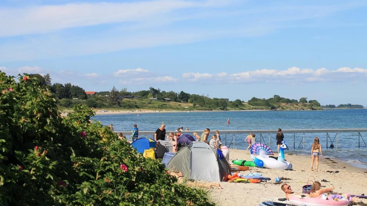 Photo of Others in Saksild Strand