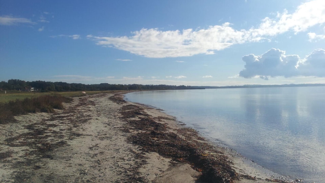 Photo of Others in Vibæk Strand
