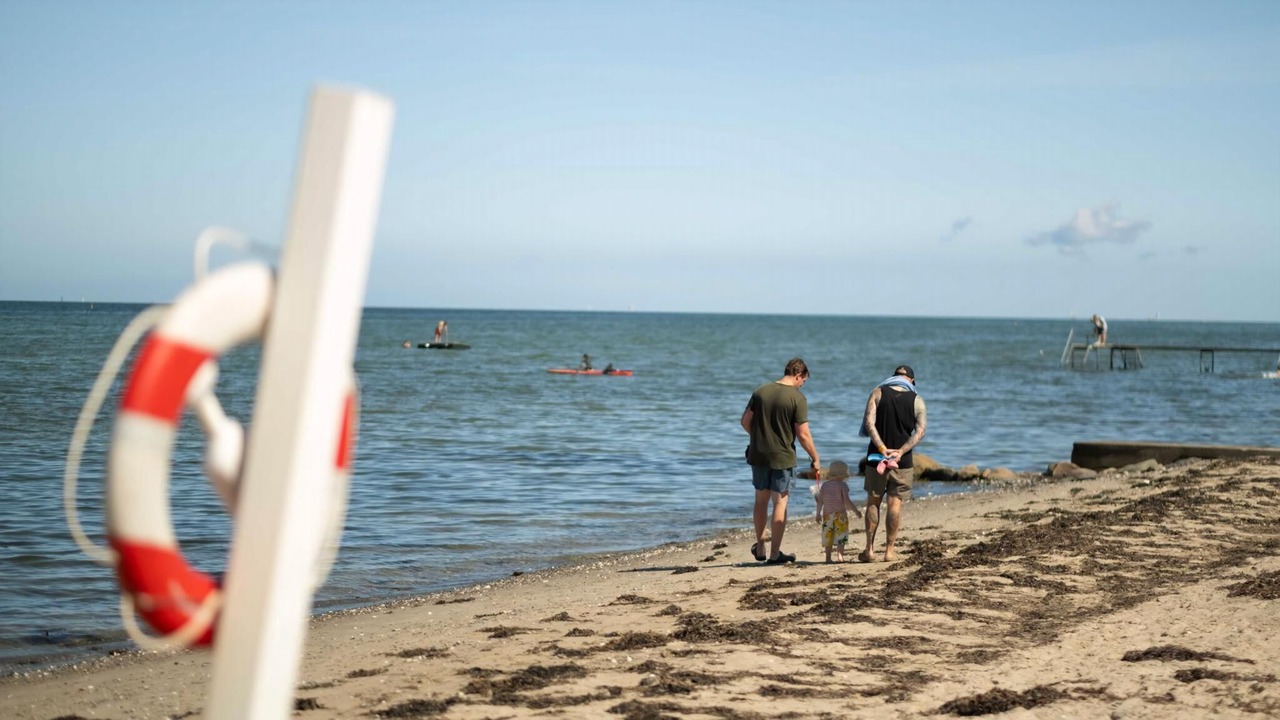 Photo of Others in Skastrup Strand
