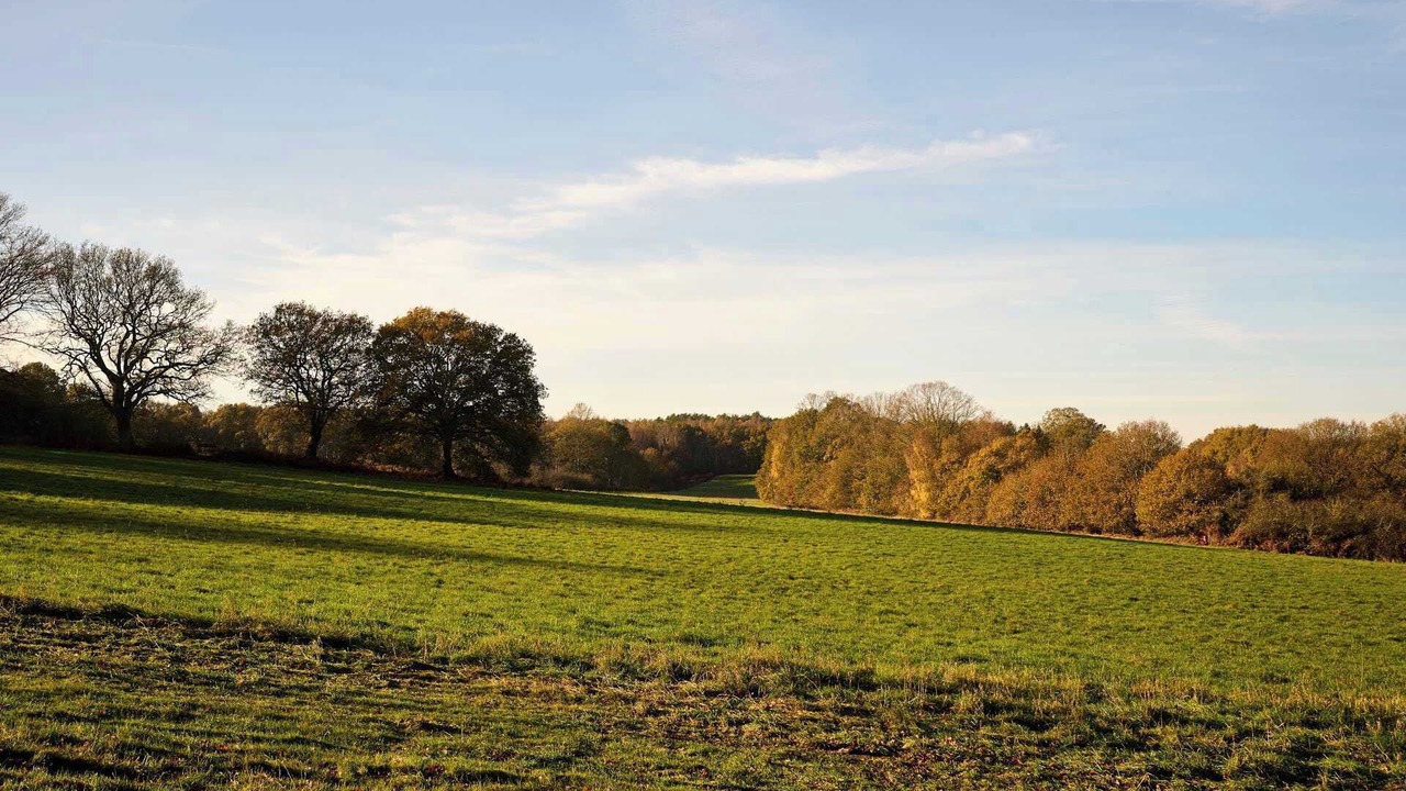 Photo of Others in Marsham