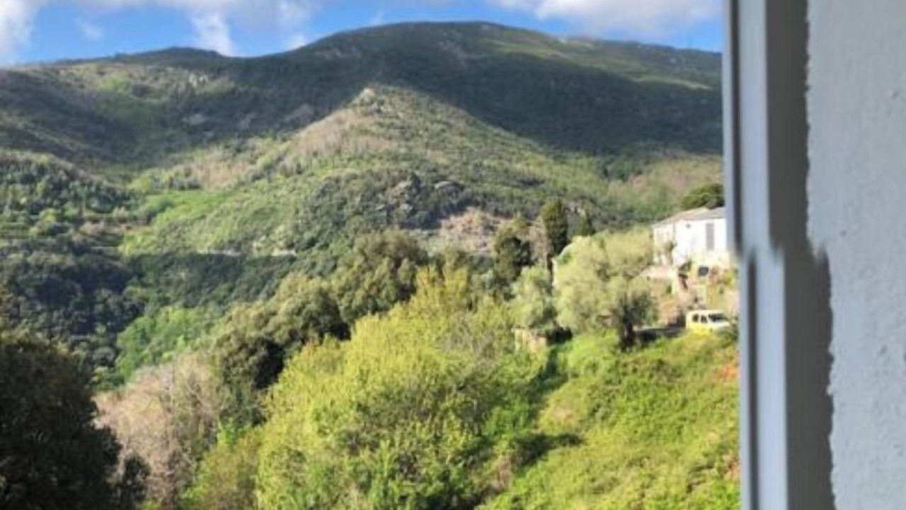 Photo of Others in Figarella