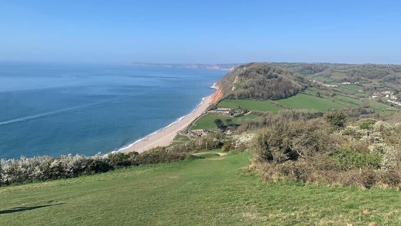 Photo of Others in Beer