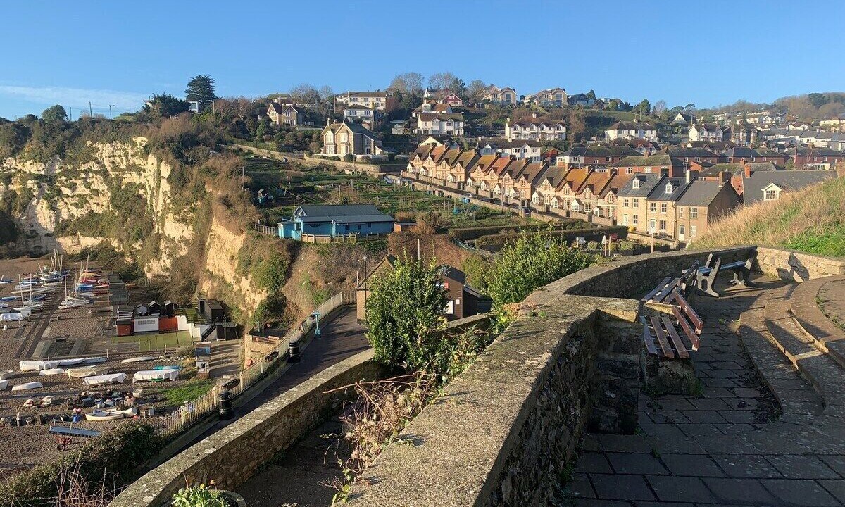 Photo of Others in Beer