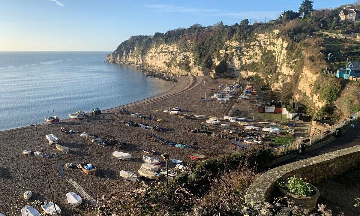 Photo of Others in Beer