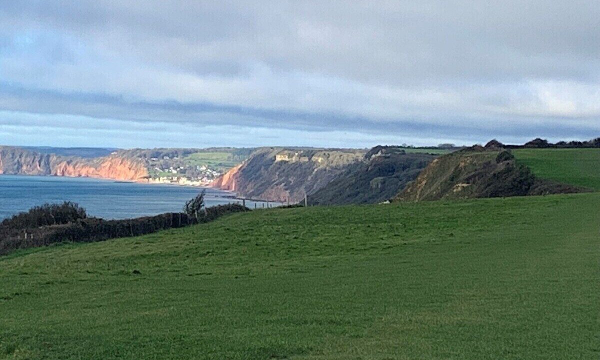 Photo of Others in Beer