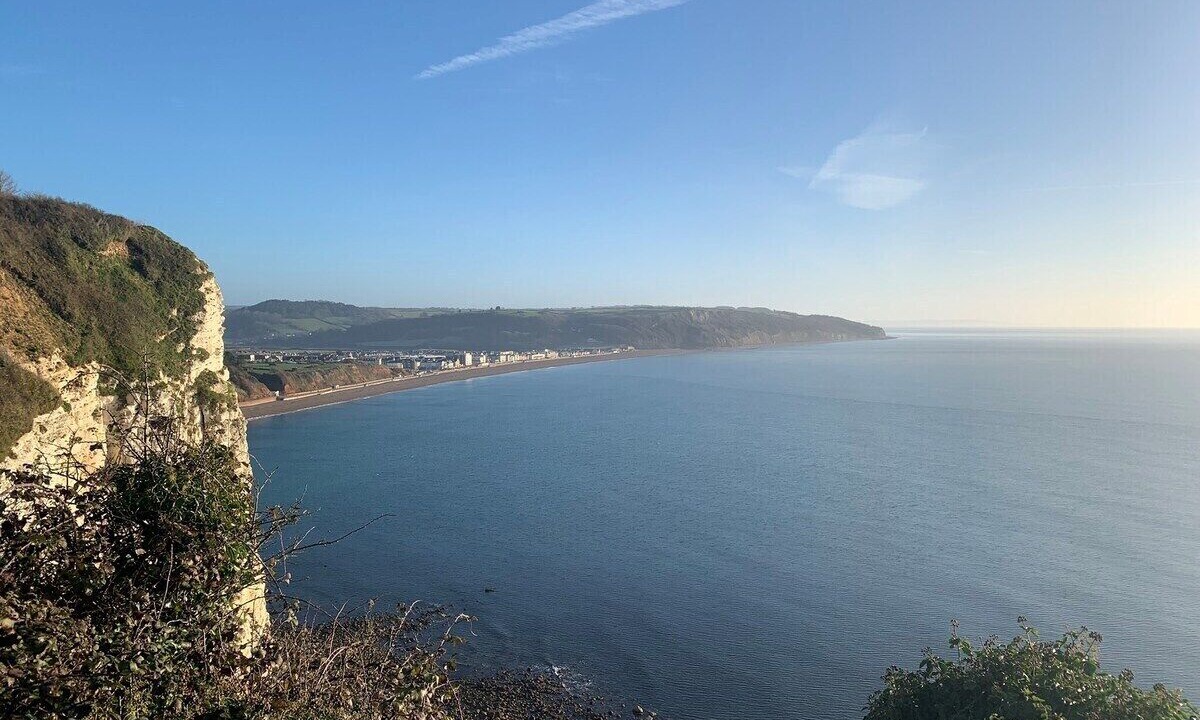 Photo of Others in Beer