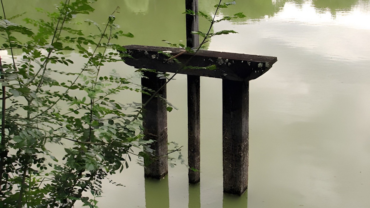 Photo of Others in Meusnes