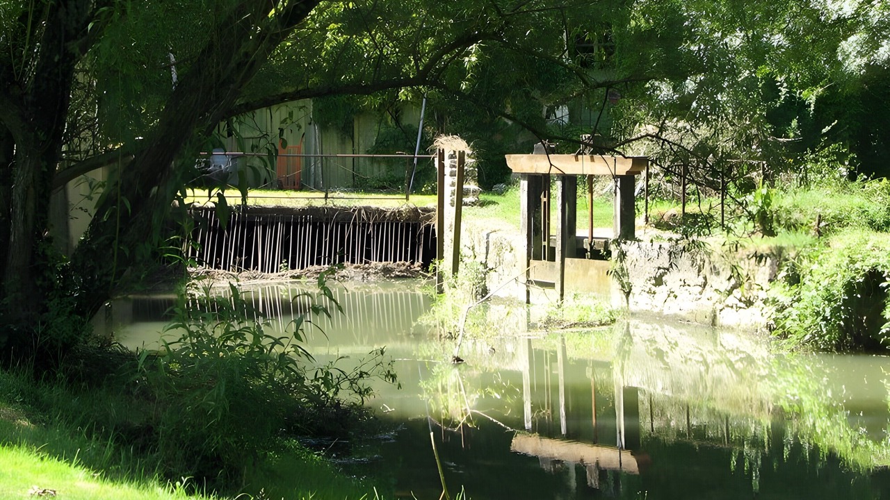 Photo of Outdoor in Meusnes