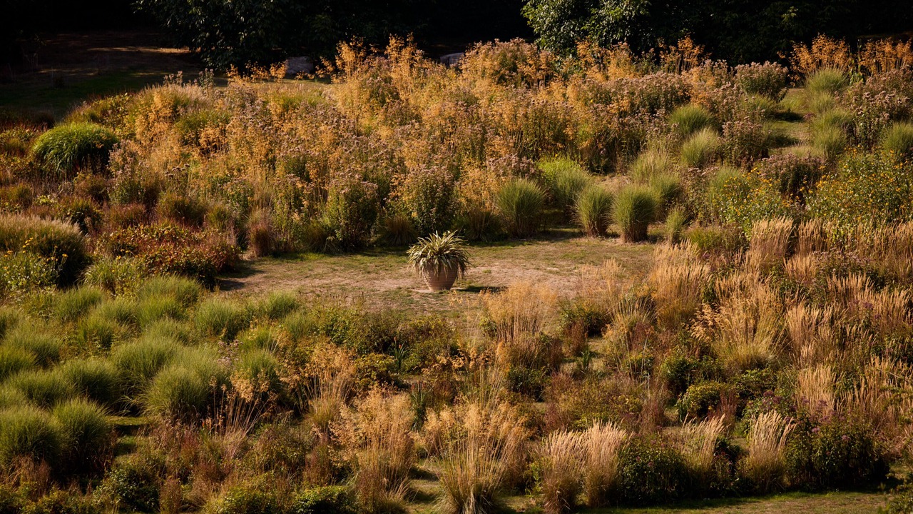 Photo of Others in Hernhill