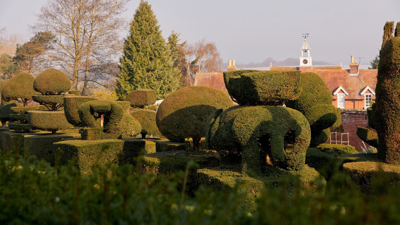 Photo of Outdoor in Hernhill