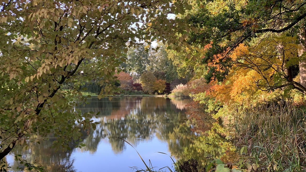 Photo of Others in Hernhill