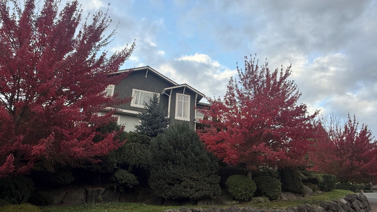 Photo of Outdoor in Newcastle