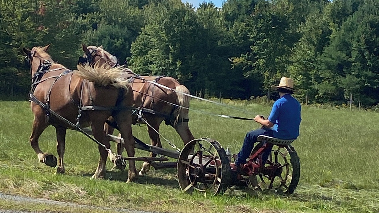 Photo of Others in Westport