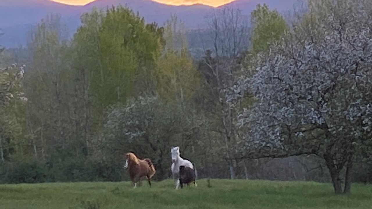 Photo of Others in Westport