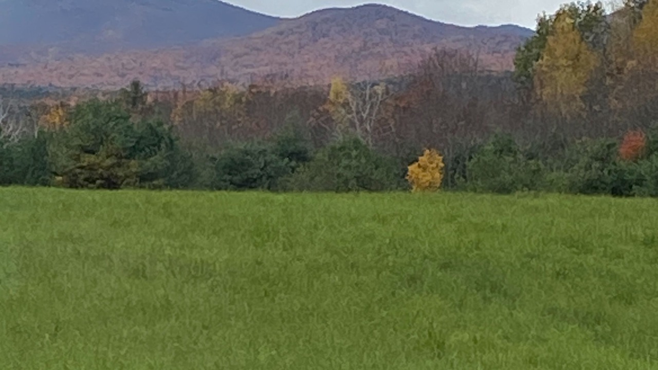 Photo of Others in Westport