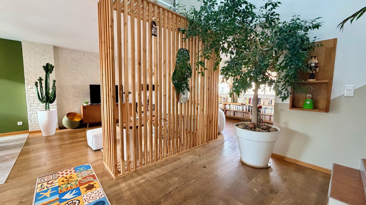 Photo of Others in Saint-Martin