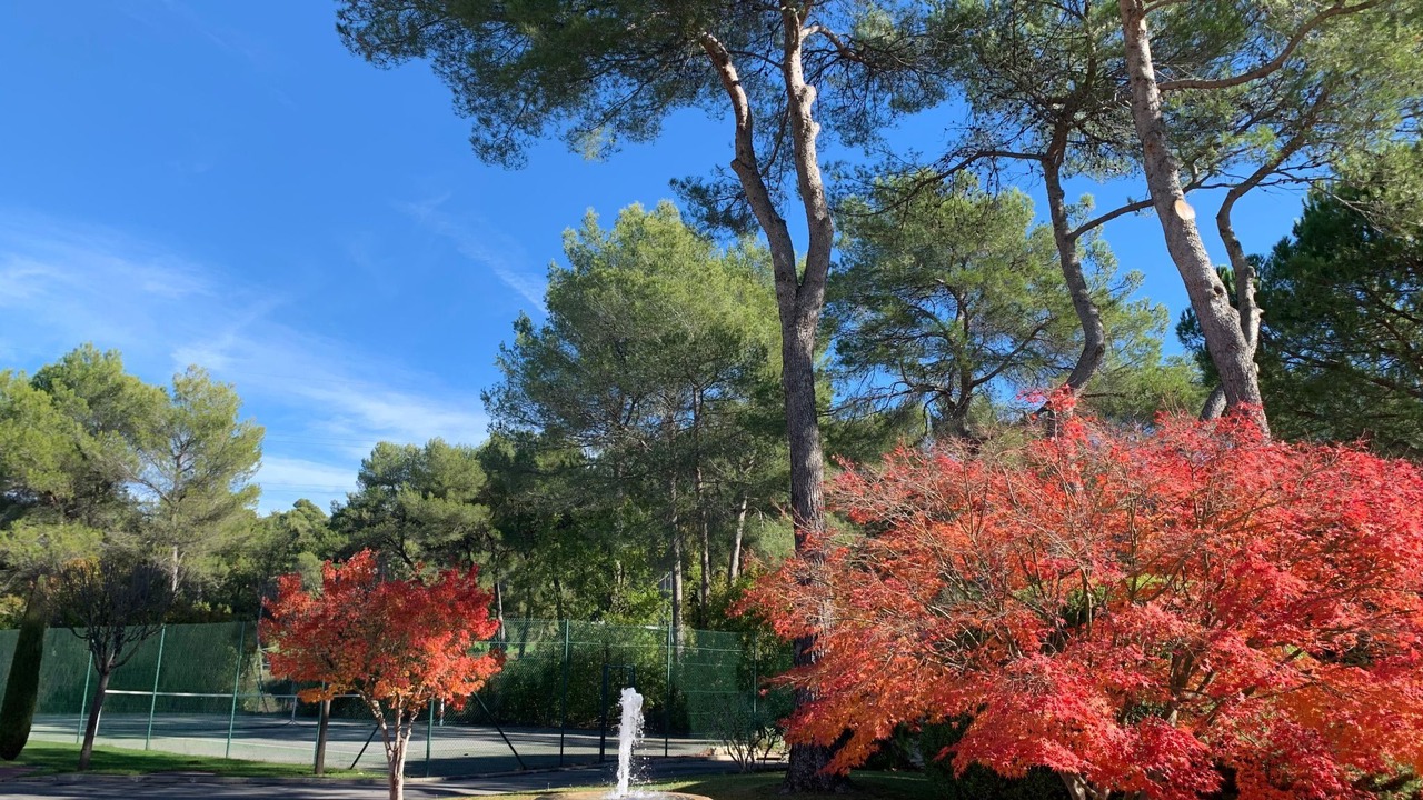 Photo of Others in Mougins