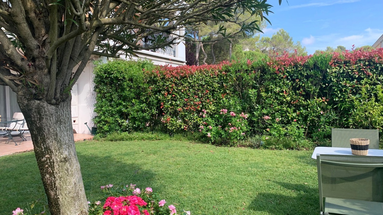 Photo of Others in Mougins