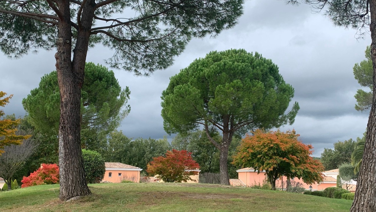 Photo of Others in Mougins