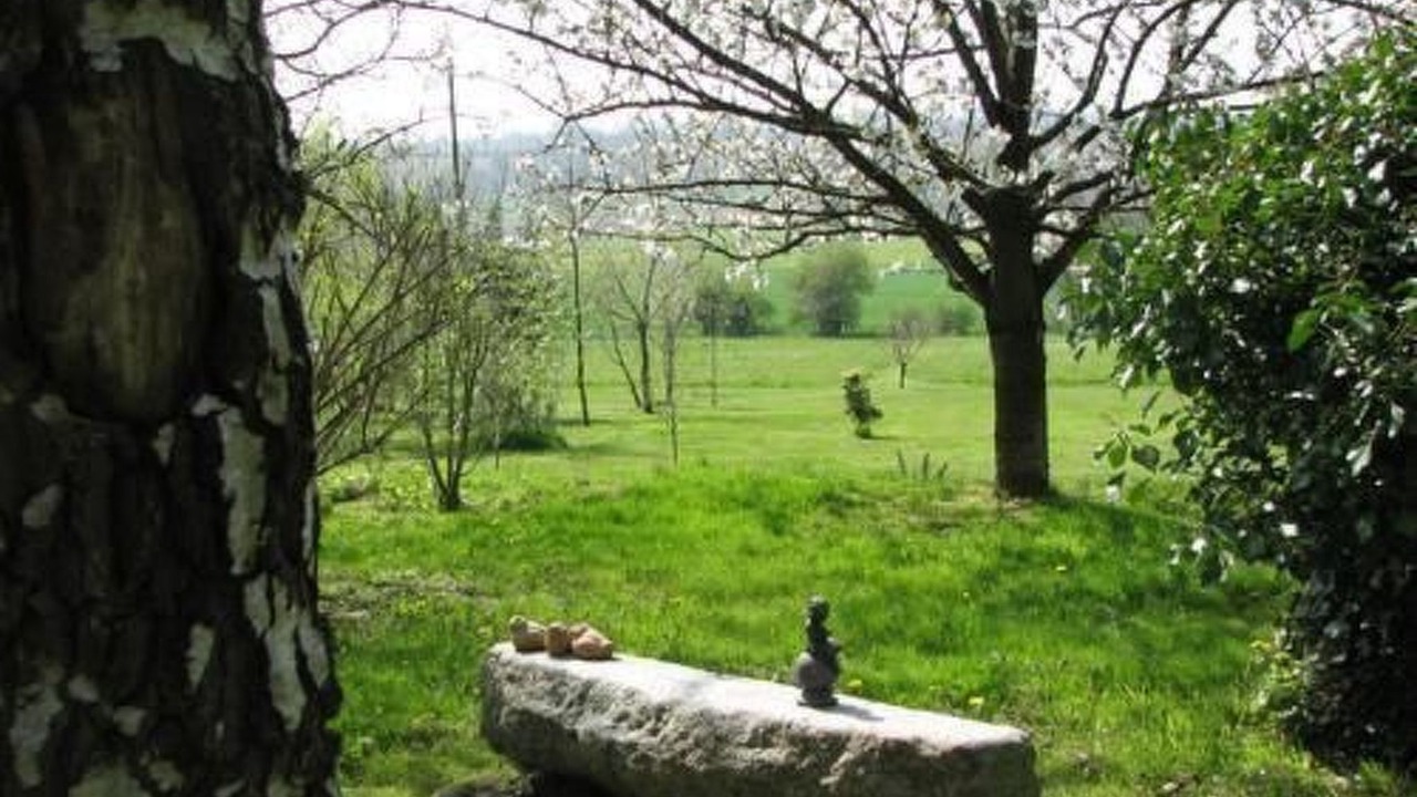 Photo of Outdoor in Saint-Laurent-de-Terregatte