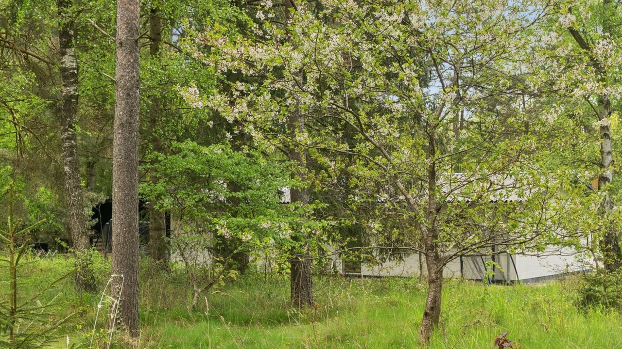 Photo of Others in Hoensinge