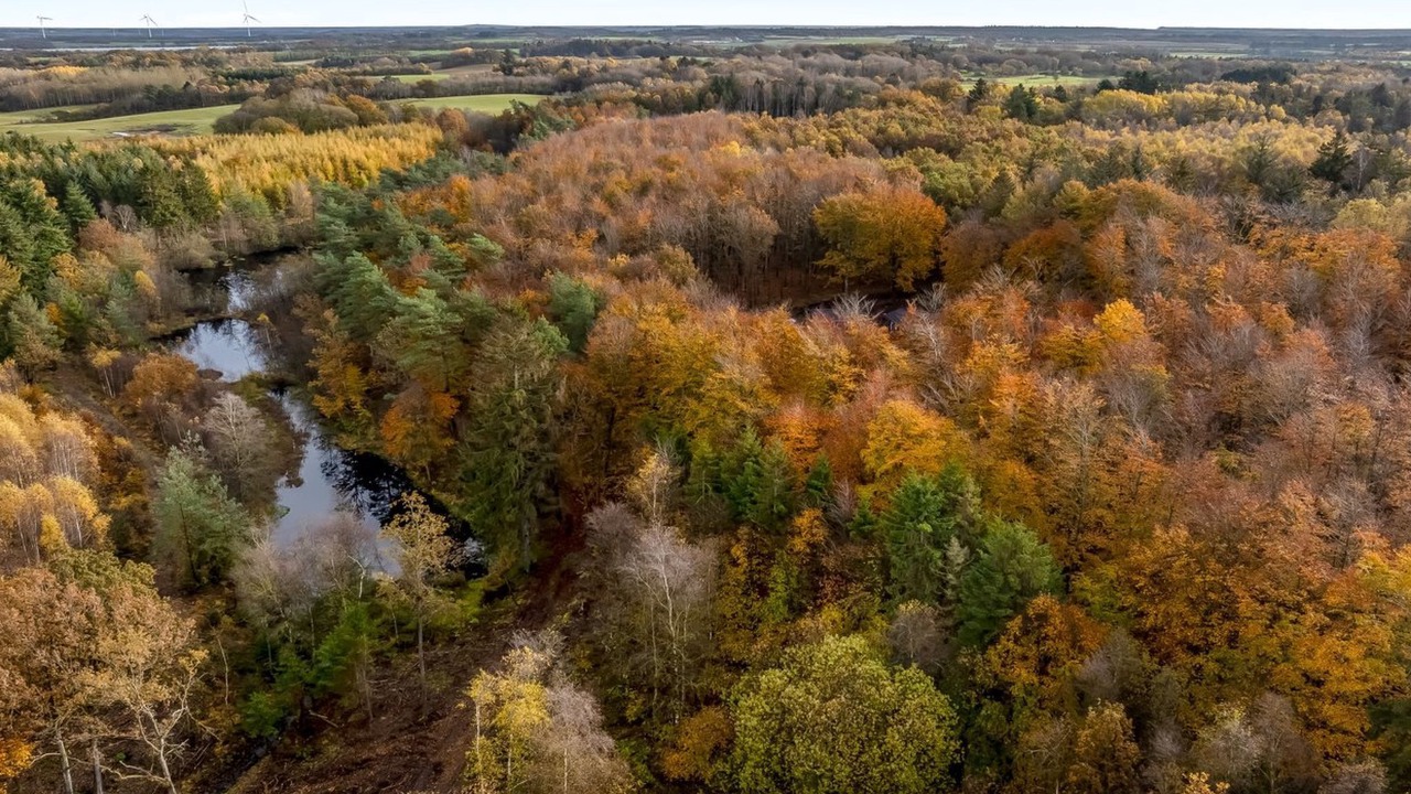 Photo of Others in Vesthimmerland Municipality