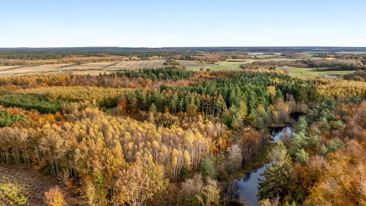 Photo of Others in Vesthimmerland Municipality