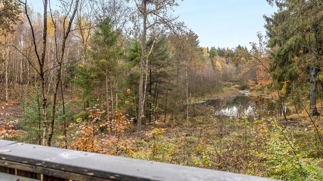 Photo of Others in Vesthimmerland Municipality