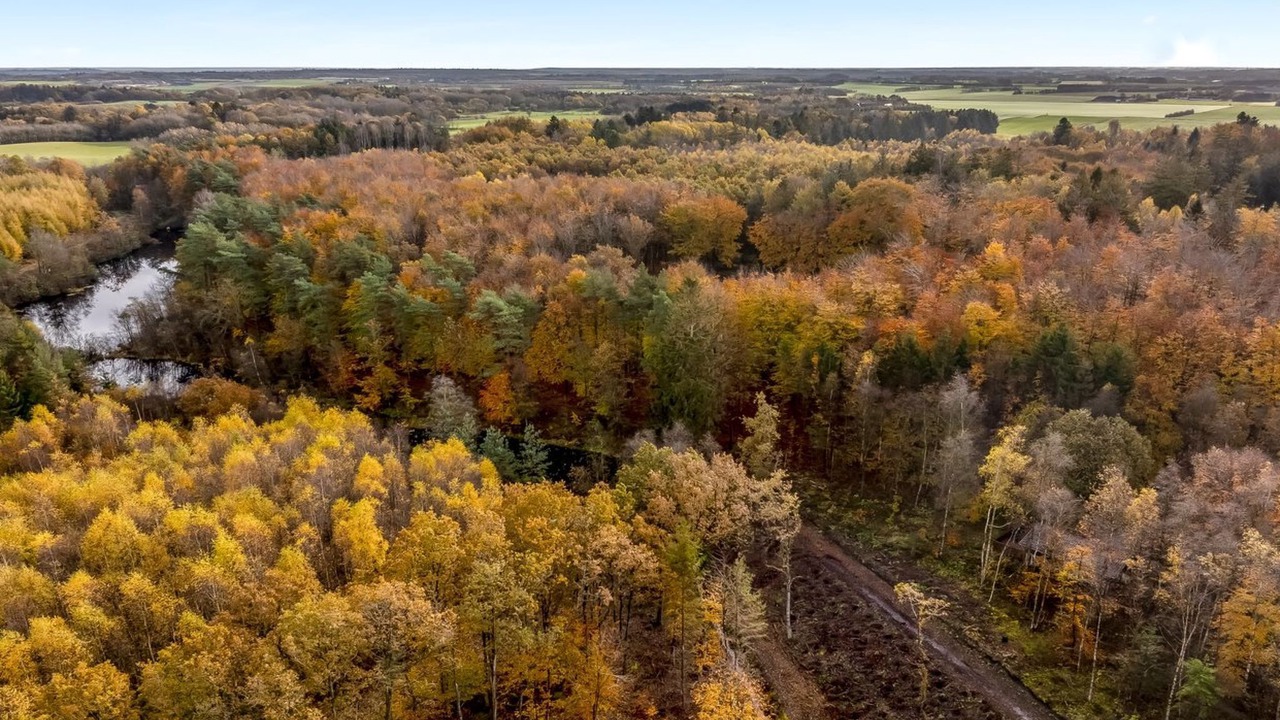 Photo of Others in Vesthimmerland Municipality