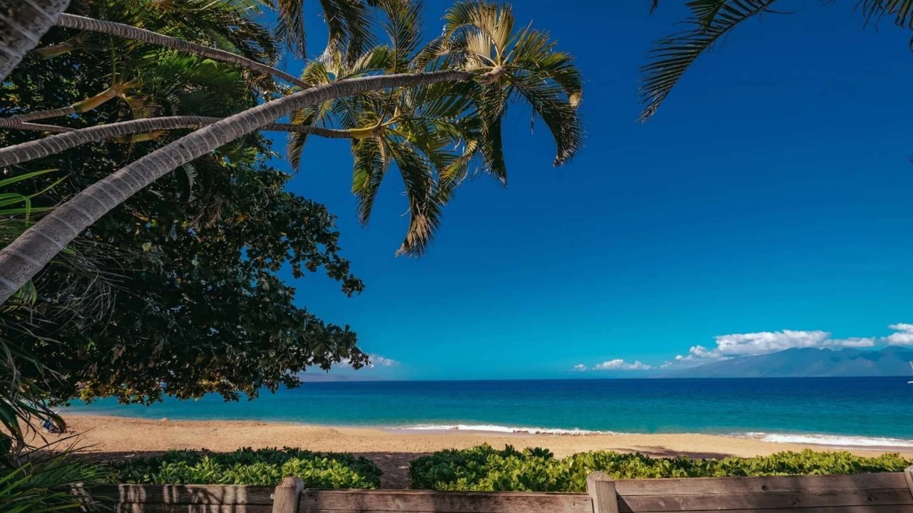 Photo of Others in Kaanapali