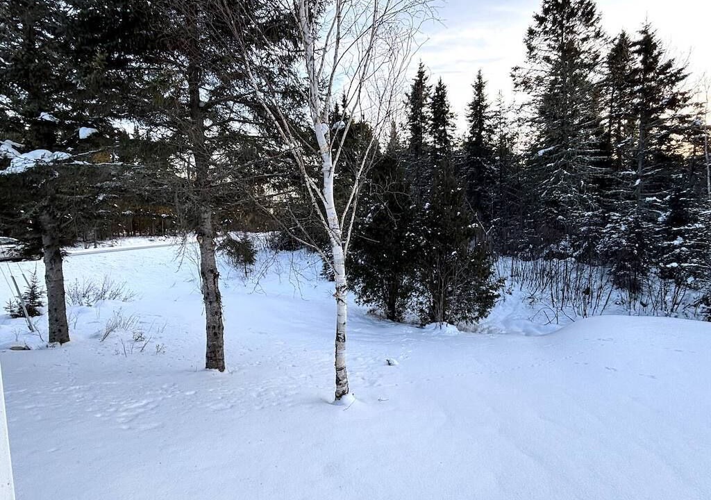 Photo of Outdoor in Lamarche
