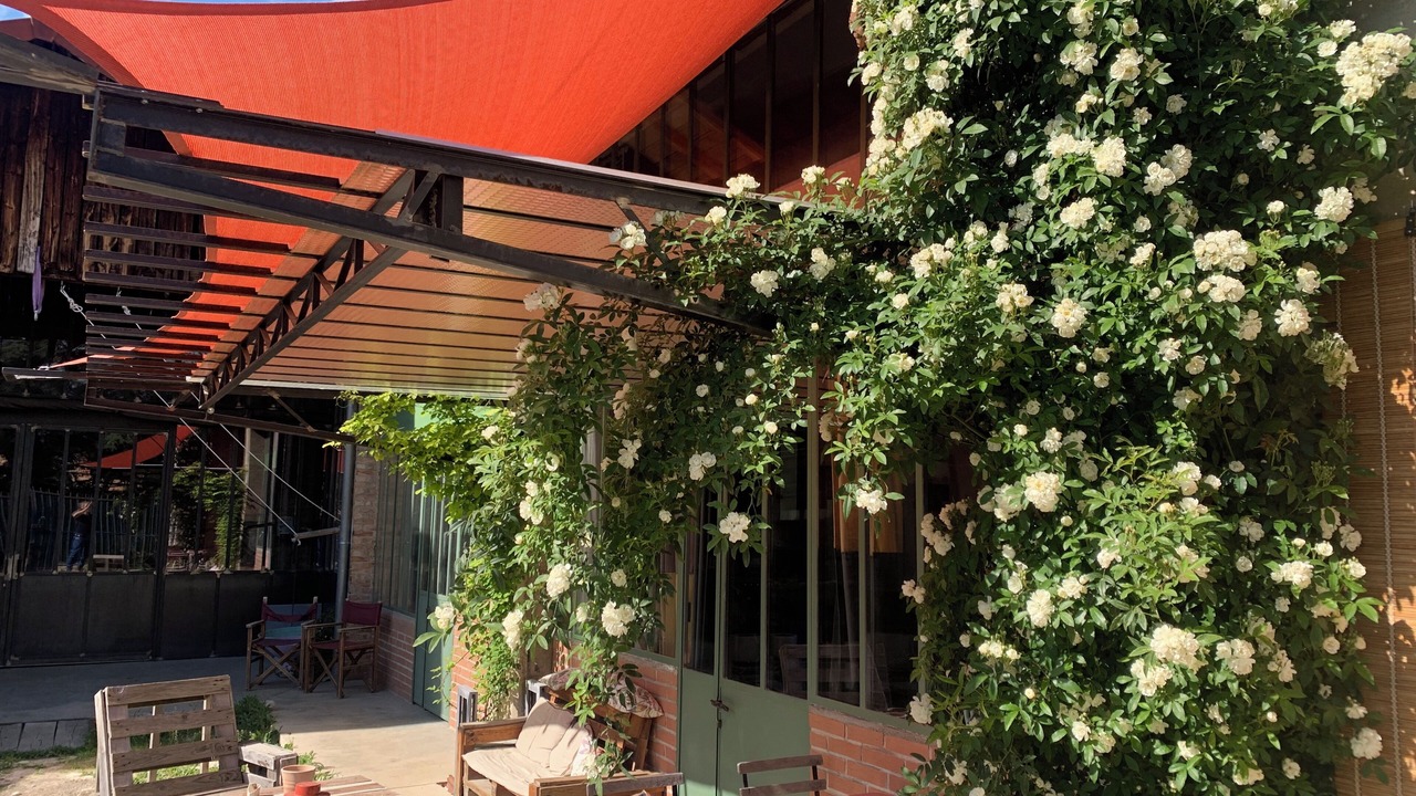 Photo of Outdoor in Crest