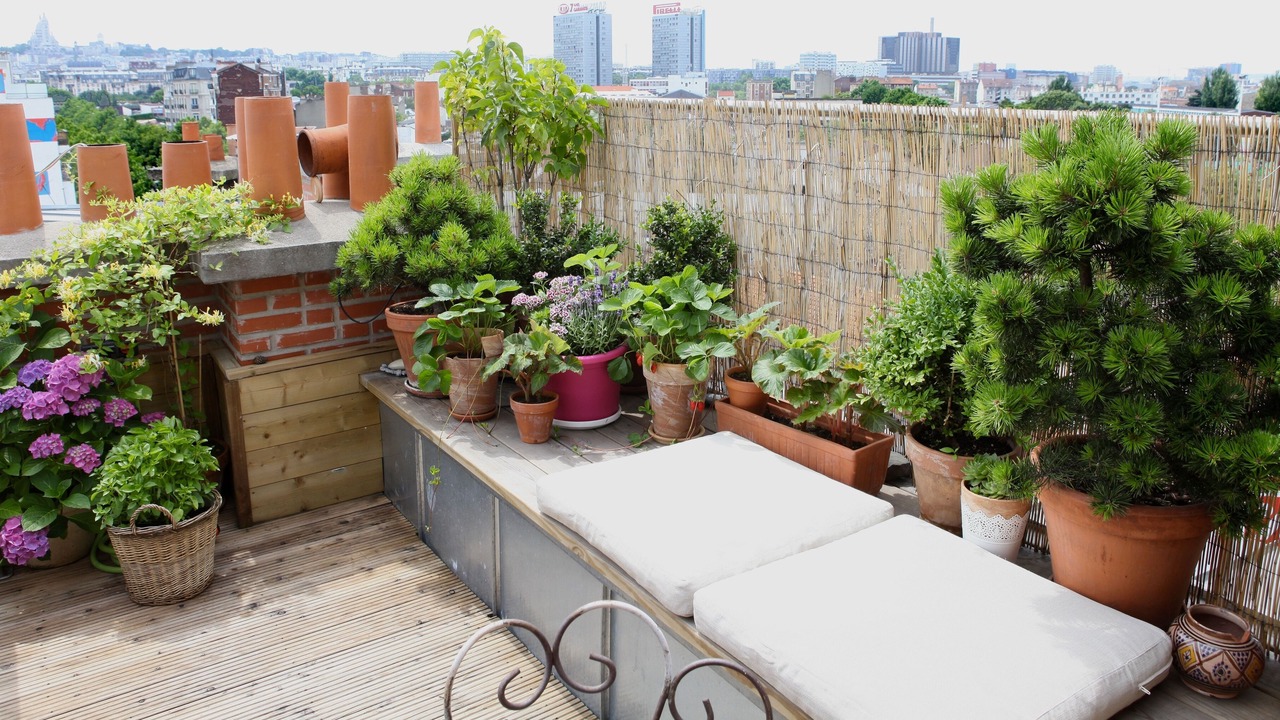 Photo of Patio Balcony in Saint-Ouen