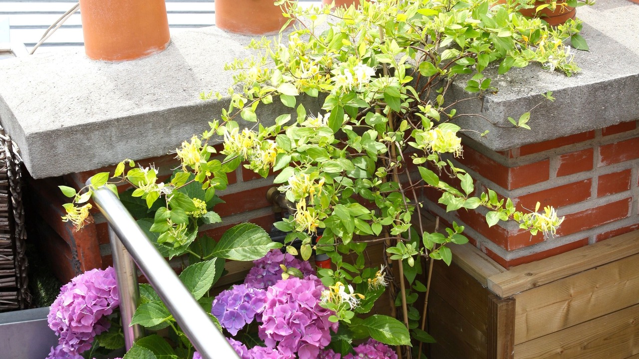Photo of Outdoor in Saint-Ouen