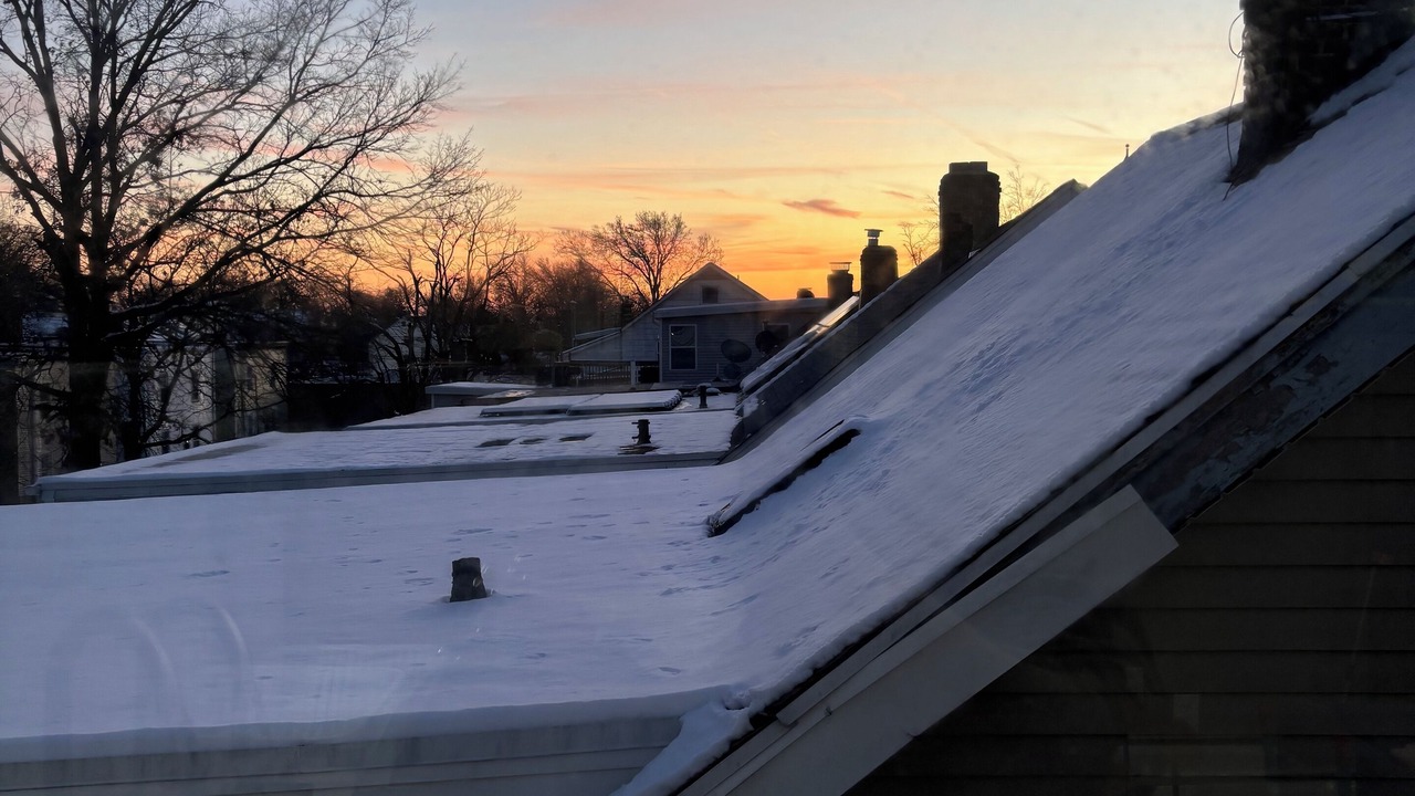 Photo of Others in Weequahic