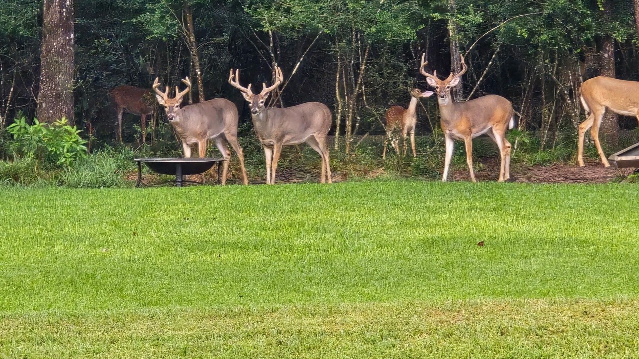 Photo of Others in Conroe