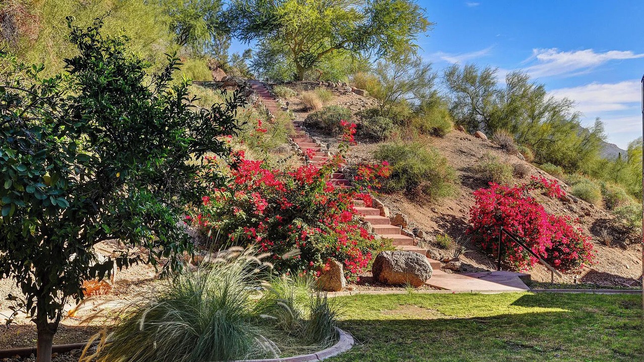 Photo of Outdoor in East Mesa